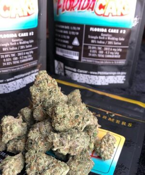 Buy Florida cake jungle boys online