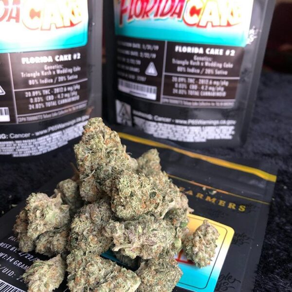Buy Florida cake jungle boys online
