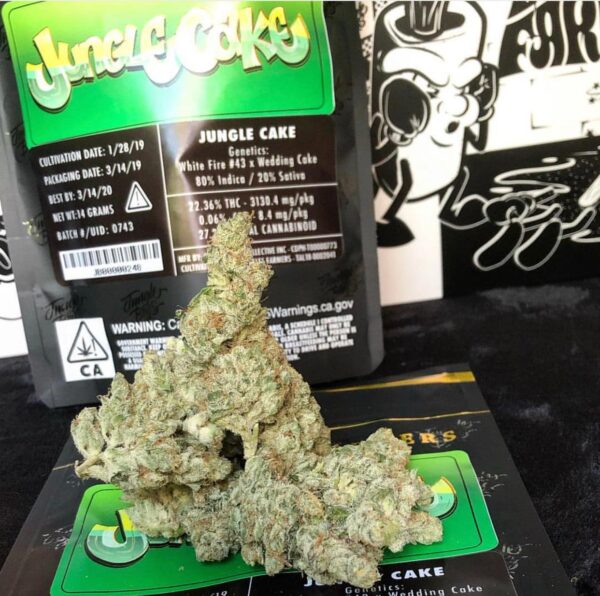 jungle cake jungle boys