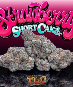 Buy strawberry shortcake jungle boys online