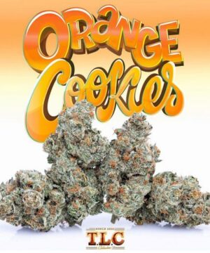 Buy orange cookies jungle boys online