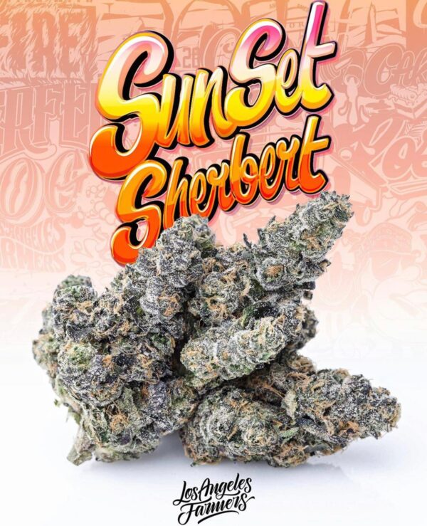 sunset sherbert jungle boys