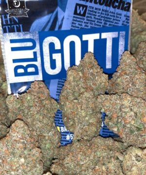 Buy Blu Gotti Backpack Boyz