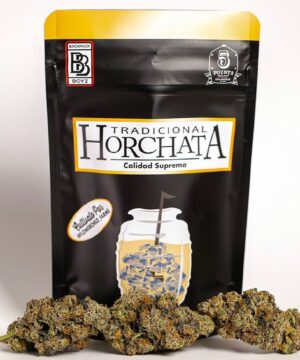 Buy Horchata backpack boyz online