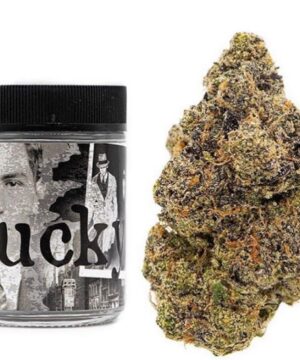 Buy Lucky backpack boyz online