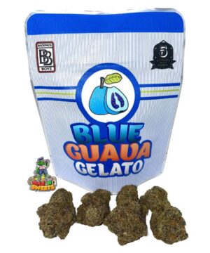 Buy Blue guava gelato Backpack boyz online