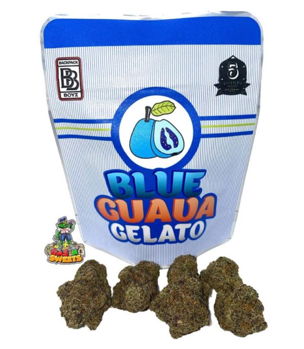 Buy Blue guava gelato Backpack boyz online