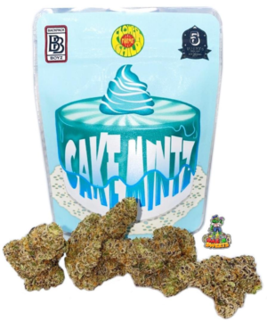 Buy Cake Mintz Backpack Boyz Online