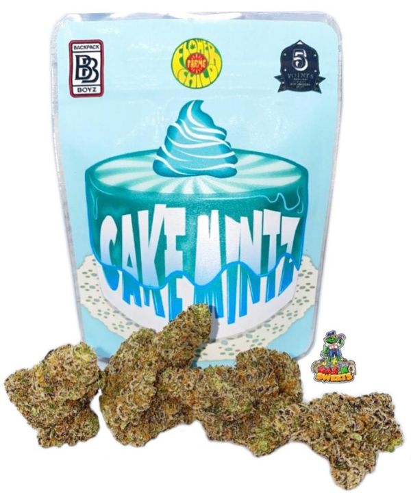 Buy Cake Mintz Backpack Boyz Online