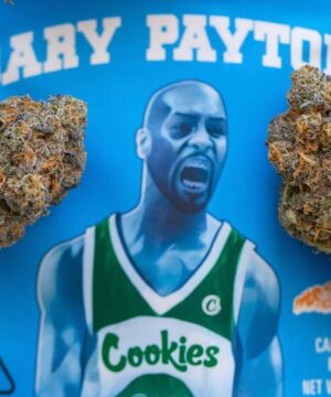 Buy Gary Payton Cookies Online