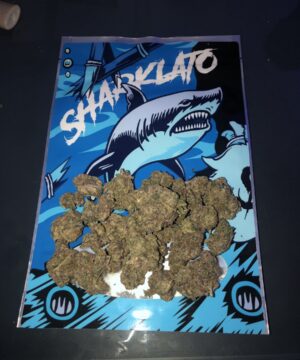 Buy Sharklato Runtz Online