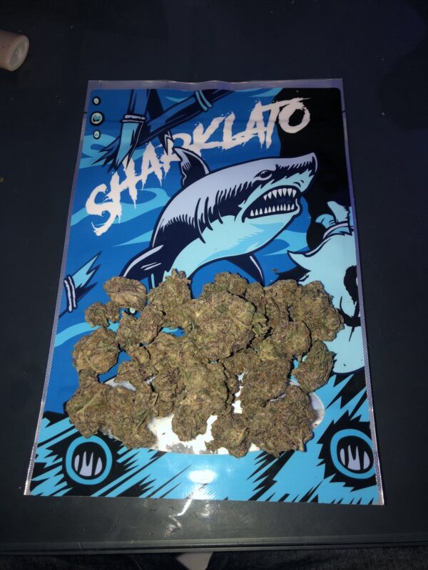 Buy Sharklato Runtz Online
