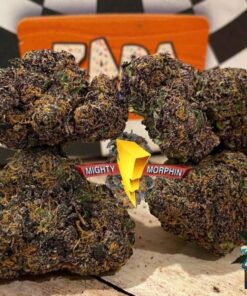 Buy Mighty Morphin exotics strain powered by zaba