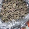 BUY FLAMBE ZABA STRAIN ONLINE