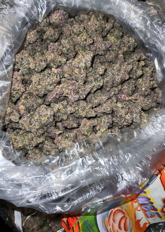 BUY FLAMBE ZABA STRAIN ONLINE