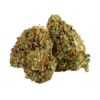 buy jack herer strain online