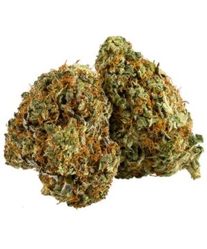 buy jack herer strain online