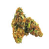 buy amnesia haze strain online