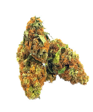 buy amnesia haze strain online