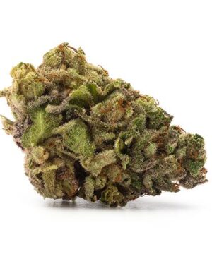 buy alaskan thunder strain online