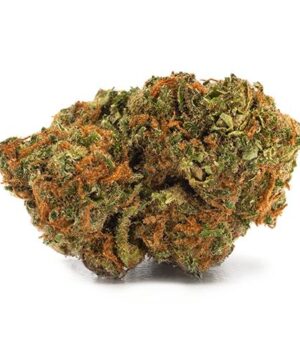 buy atomic jack strain online
