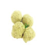 buy blueberry moonrocks online