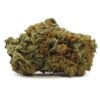 buy black widow strain online