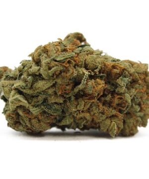 buy black widow strain online