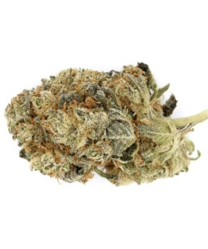 buy bruce banner Strain online