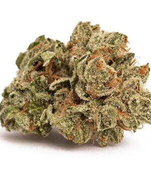 buy deadhead og strain online