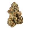 buy gelato strain online
