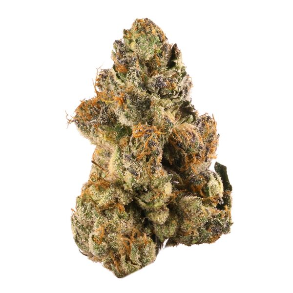 buy gelato strain online