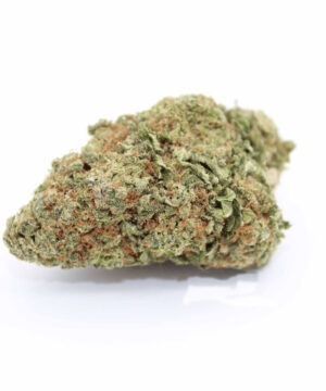 buy girl scout cookies strain online