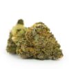 buy gorilla glue strain online