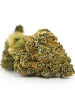 buy gorilla glue strain online