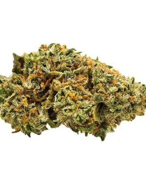 buy granddaddy purple strain online