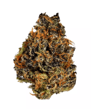 buy grape cookies strain online