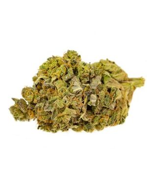 buy green haze strain online