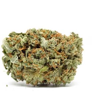 buy cannatonic strain online