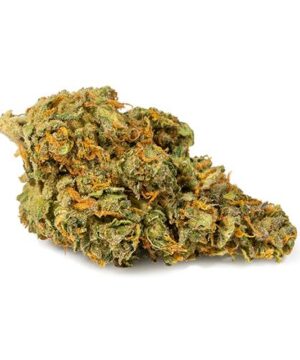 Master OG Strain
