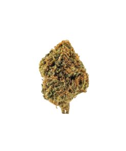 buy nyc diesel strain online