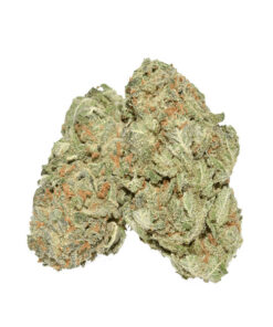 buy ice cream strain online