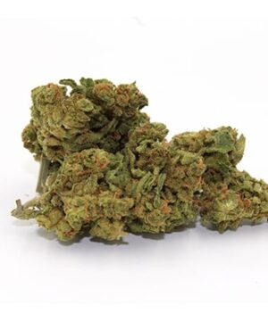 buy og kush strain online