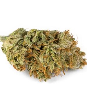 buy obama kush strain online