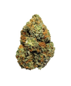 buy mango kush strain online