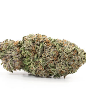 buy purple kush strain online