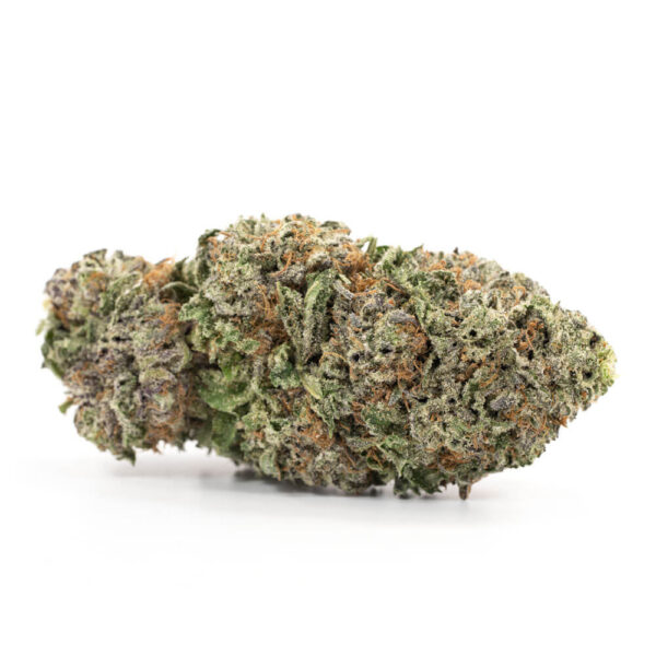 buy purple kush strain online
