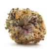 Buy Purple Urkle Strain Online