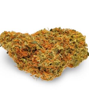Buy Sour Cheese Strain Online