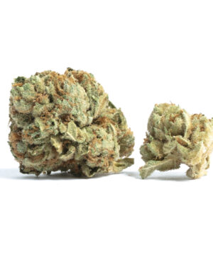  buy tahoe og kush strain online